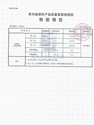 资质报告